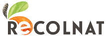 Logo d'eReColNat
