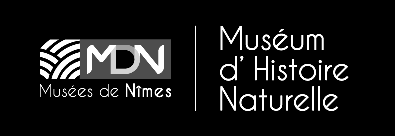 NIM - Muséum d'histoire naturelle de Nîmes