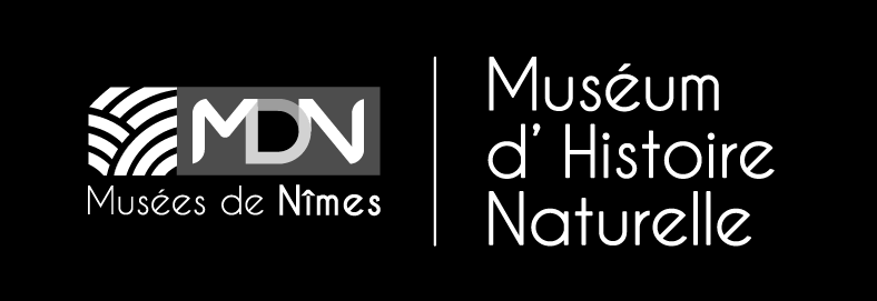 Muséum d'histoire naturelle de Nîmes