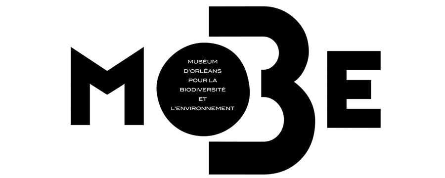 Muséum d'Orléans pour la Biodiversité et l'Environnement