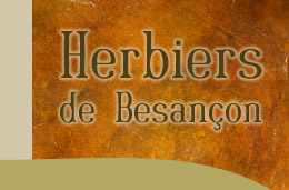 Muséum d’histoire naturelle de Besançon