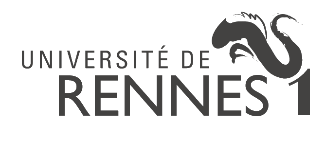 IGR - Rennes 1 University