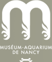 Muséum-Aquarium de Nancy