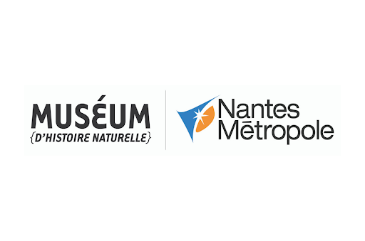 Muséum d'histoire naturelle de Nantes